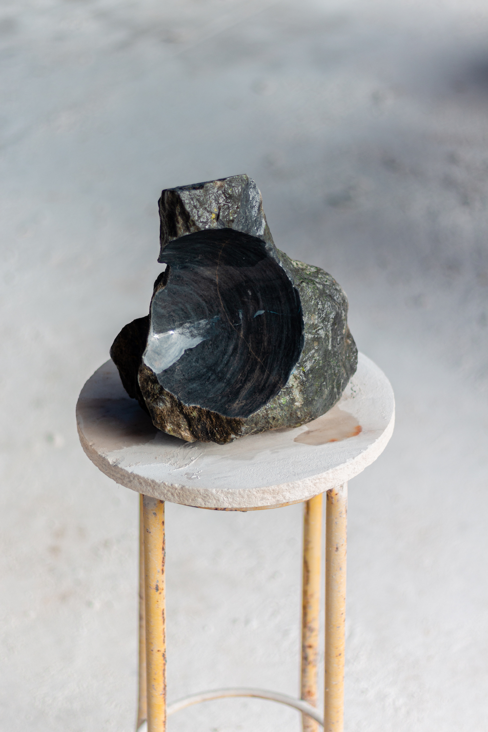 Photo by Antônio Frederico Lasalvia